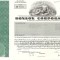 473 Actiuni - RONSON CORPORATION -seria RP 1511