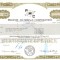 505 Actiuni -Phoenix Materials Corporation -seria S 1396