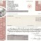 491 Actiuni -FIRST VIRGINIA BANKS, INC. -seria 103022