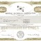 510 Actiuni -Phoenix Materials Corporation -seria S 1379