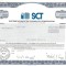 598 Actiuni -Systems &amp;amp; Computer Technology Corporation -seriaSC22224