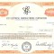 612 Actiuni -Eco Electrical Manufacturing Corporation -seria JU 460