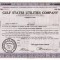 703 Actiuni -Gulf States Utilities Company -seria TNC15079