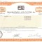 715 Actiuni -Programming and Systems, Inc. -seria NU 25217