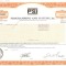 718 Actiuni -Programming and Systems, Inc. -seria NU 24867