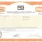 719 Actiuni -Programming and Systems, Inc. -seria NU 24506