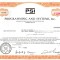 721 Actiuni -Programming and Systems, Inc. -seria NU 14100