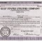 704 Actiuni -Gulf States Utilities Company -seria TNC19113