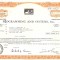 717 Actiuni -Programming and Systems, Inc. -seria NU 22131