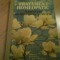 2816 Maria Pavel Chirila Tratament Homeopatic