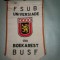 286 Fanion Universiada Bucuresti 1981