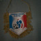 331 Fanion Federatia Franceza de Fotbal