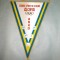327 Fanion CLUBUL SPORTIV SCOLAR GLORIA ARAD