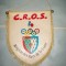 447 Fanion C.R.O.S. -Region des Pays de la Loire (Franta)