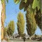CP182-81 Braila.Vedere din port -circulata 1984