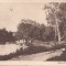 B11408 Craiova Parcul Bibescu
