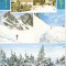 CP184-81 Muntii Bucegi. Cabana Piatra Arsa... -circulata 1988