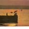 CP184-97 Mamaia. Pe Suit Ghiol -circulata 1977
