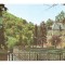 CP186-65 Baile Herculane (de pe pod) -carte postala necirculata