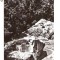 CP189-95 Putna -Chilia lui Daniil Sihastrul -RPR -carte postala necirculata