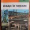 PEISAJE IN MISCARE - CONSTANTIN CHIFANE DRAGUSANI