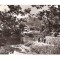 CP189-33 Sovata -Pe malul lacului ,,Ursu&quot; -RPR -carte postala circulata 1965