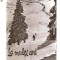 CP190-51 Peisaj de iarna la Cristianul Mare -RPR -carte postala circulata 1965