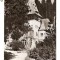 CP190-09 Sinaia-Pelisorul -RPR -carte postala circulata 1958