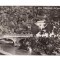 CP191-03 Baile Herculane -Pod peste Cerna -RPR -carte postala circulata 1964