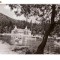 CP191-96 Tusnad -Lacul Ciucas -RPR -carte postala circulata 1960