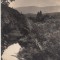 B18563 Valea Oltului cu Manastirea Cornet