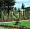 CP46-49-Nasaud -Intrarea in oras