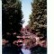 CP62-26-Pitesti -Vedere din parcul ,,Argesul&quot;-RPR(circulata 1965)(pod)