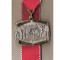 CIA 175 Medalie heraldica(caleasca medievala, cu printesa) - interesanta -(germana)