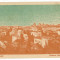 1717 - BUCURESTI, Panorama - old postcard - used - 1920