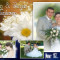 Album 100 Template -uri PSD Nunti vol.2 ( Wedding Templates )