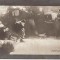 V FOTO 48 Compozitor la vioara, compunand o Sonata , prieteni -Rusia veche -mesajul scris in slavona-antebelica