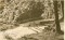 Foto  - 1