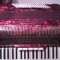 acordeon Cantulia