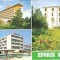 CP199-27 Eforie Sud -Imagini din statiune -carte postala, circulata 1981 -starea care se vede