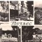 carte postala(ilusrata)-BORSEC