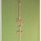 CPI (B220) BRAILA, CRUCE, MANASTIREA MAXINENI, 1857, NECIRCULATA.