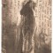 CPI (B241) FEMEIE, FATA, TANARA, MODEL, FOTOMODEL, FOTGRAFIE ARTISTICA, ARTA, CIRCULATA, 1907, TIMBRU CAROL I, STAMPILE, GOARNA
