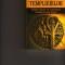 Picknett&amp;amp;Prince = misterul tempierilor