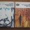 W. D. Howells - Ascensiunea lui Silas Lapham (2 vol)