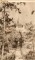 Foto  - 1