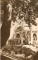 Foto  - 1