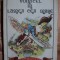 VOINICEL IN LUMEA CEA MARE - IRINA TEODORESCU - carte pentru copii