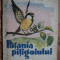 PATANIA PITIGOIULUI - EUGEN B. MARIAN - carte pentru copii