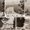 CP204-79 Sinaia -carte postala, circulata 1966 -starea care se vede